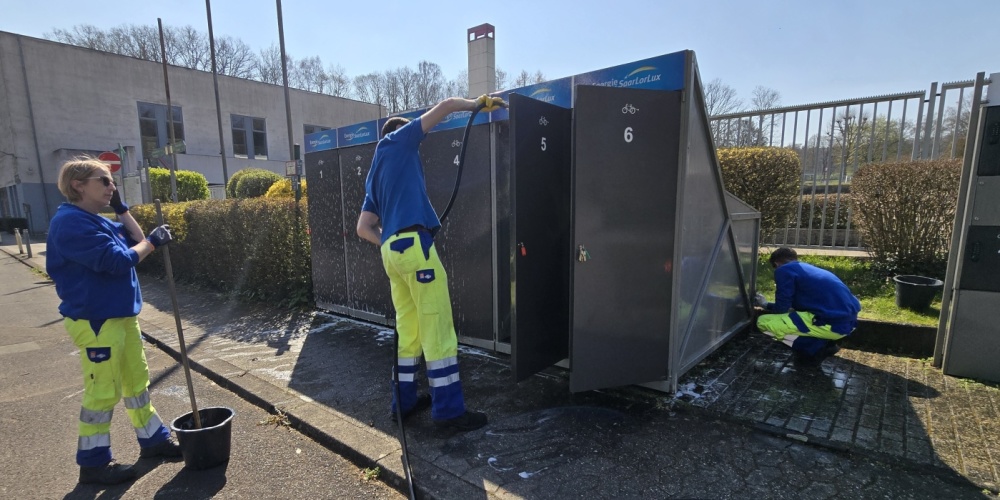 Picobello 2026 Picobello 2026